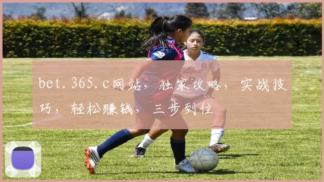 bet.365.c网站，独家攻略，实战技巧，轻松赚钱，三步到位